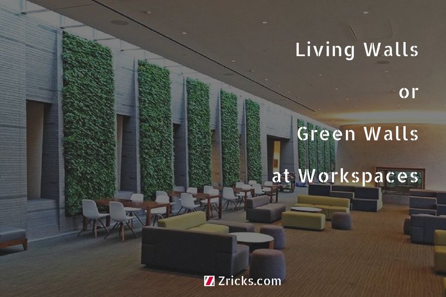 Living Walls or Green Walls at Workspaces Update